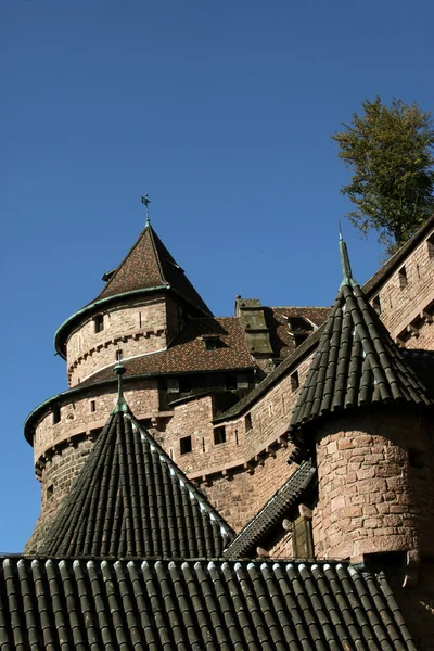 EUROPA FRANCIA ALSACE — Foto de Stock