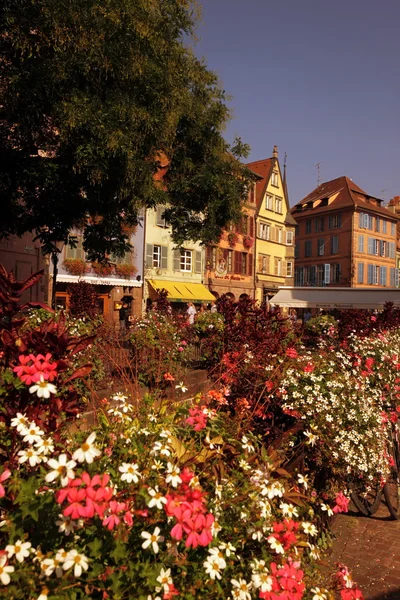 EUROPA FRANCIA ALSACE — Foto Stock