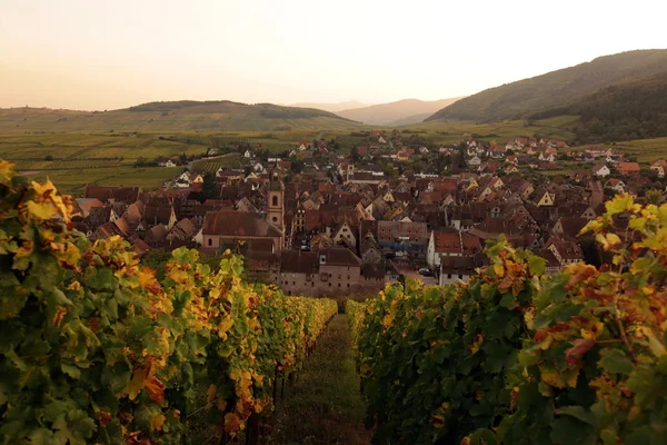 EUROPA FRANCIA ALSACE — Foto Stock