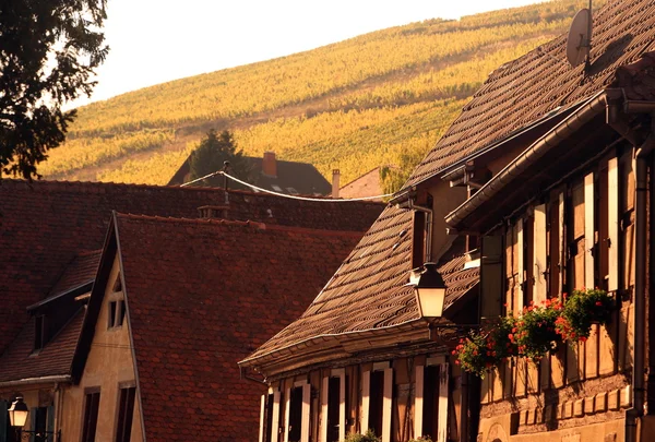Europe Fransa Alsace — Stok fotoğraf