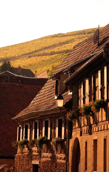 EUROPA FRANCIA ALSACE — Foto Stock