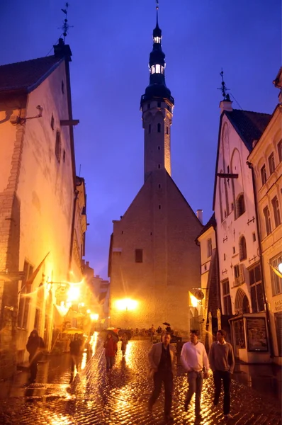 EUROPA ESTONIA TALLINN — Foto Stock