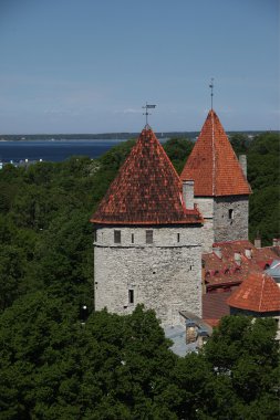 Europe Estonya Tallinn 