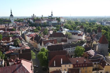 Europe Estonya Tallinn 