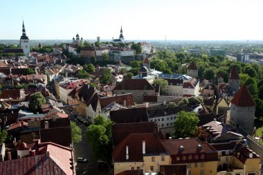 Europe Estonya Tallinn 