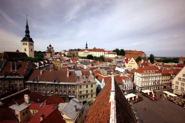 Europe Estonya Tallinn 