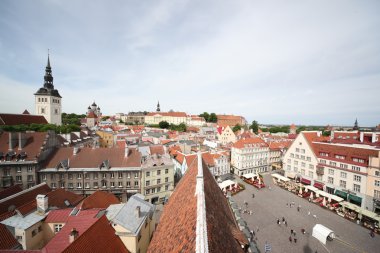 Europe Estonya Tallinn 