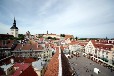 Europe Estonya Tallinn 