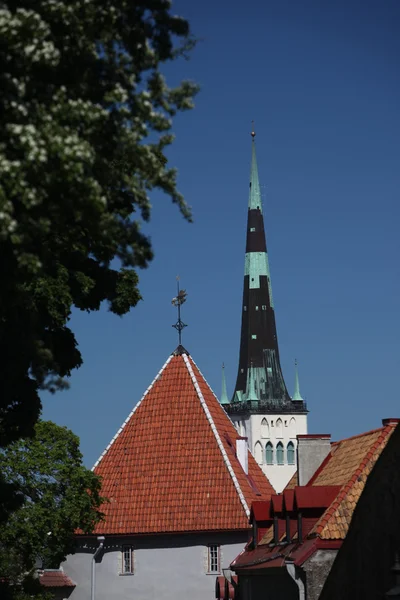 Європа Естонії Таллінн — стокове фото