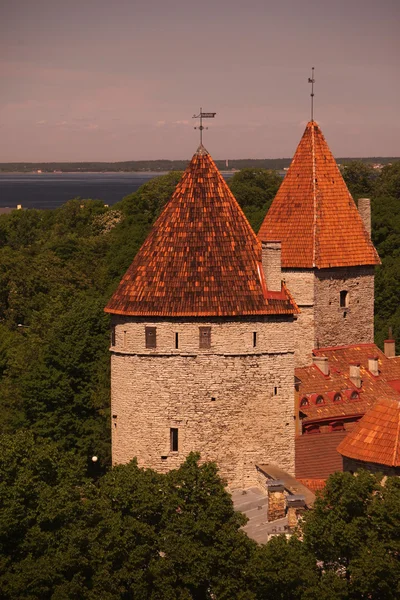 Europa Estland Tallinn — Stockfoto