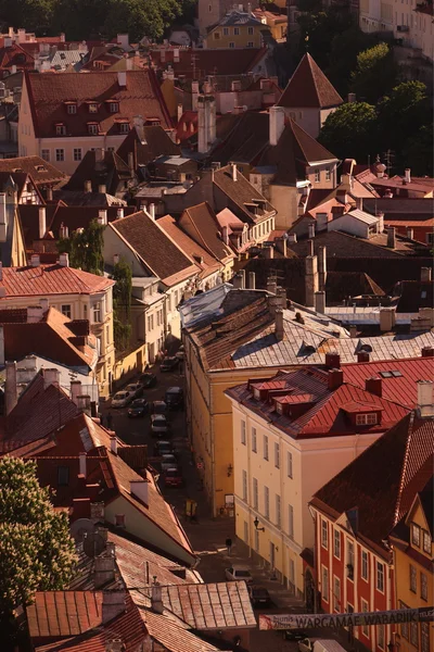 Europa estland tallinn — Stockfoto