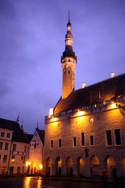 Europe Estonya Tallinn 