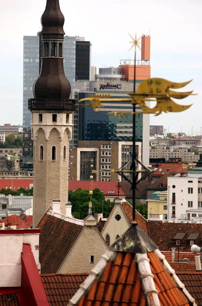 Europe Estonya Tallinn — Stok fotoğraf