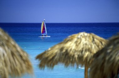 Amerika Caribbian deniz Dominik Cumhuriyeti