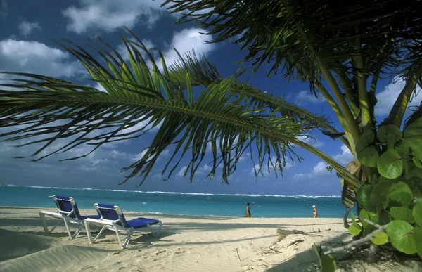 美国 Caribbian 海多米尼加共和国 — 图库照片