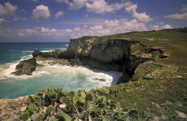 AMÉRIQUE RÉPUBLIQUE DOMINICAINE DES CARAÏBES — Photo