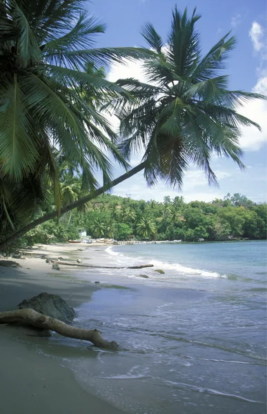 Ameryka Caribbian morze Dominikana — Zdjęcie stockowe