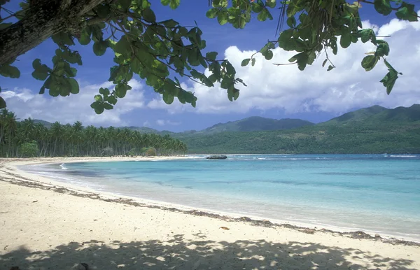 Amerika Caribbian deniz Dominik Cumhuriyeti — Stok fotoğraf