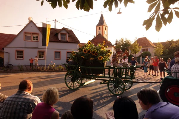 Europa deutschland schwarzwald — Stockfoto