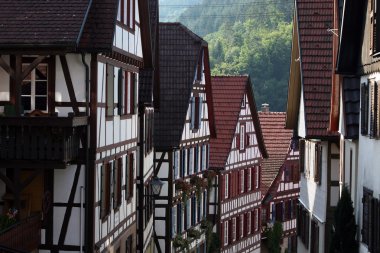 Europe Almanya Blackforest 