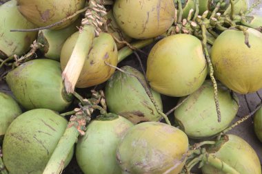 Asya Brunei Darussalam