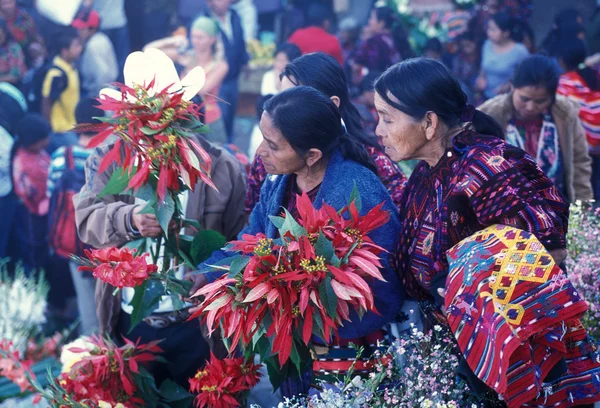 AMÉRICA LATINA GUATEMALA CHICHI —  Fotos de Stock