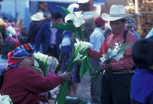 Latin Amerika Guatemala Chichi — Stok fotoğraf