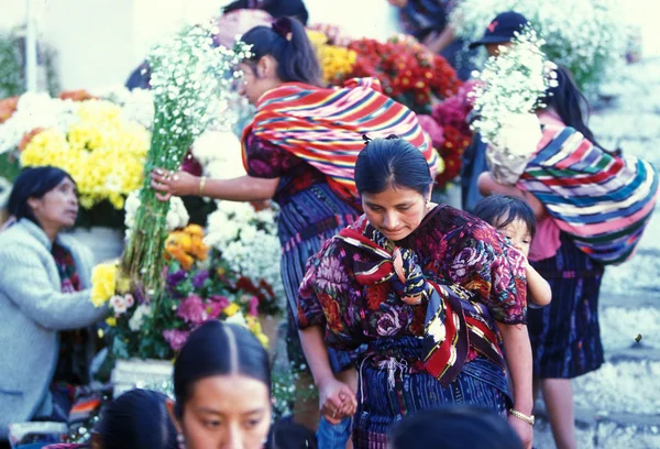 AMÉRICA LATINA GUATEMALA CHICHI — Foto de Stock