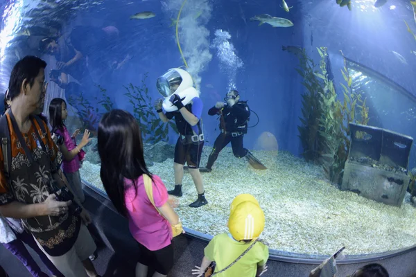 Asia Thailand Bangkok Aquarium — Stockfoto