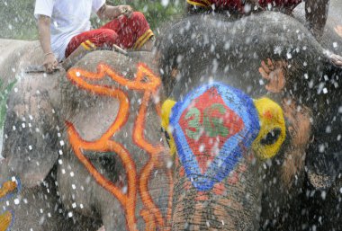 Asya Tayland Ayutthaya Songkran Festivali