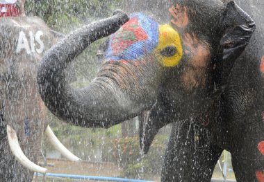 Asya Tayland Ayutthaya Songkran Festivali