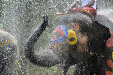 Asya Tayland Ayutthaya Songkran Festivali