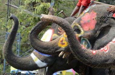 Asya Tayland Ayutthaya Songkran Festivali
