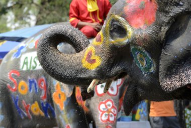 Asya Tayland Ayutthaya Songkran Festivali