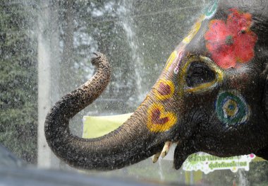 Asya Tayland Ayutthaya Songkran Festivali