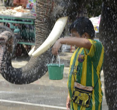 Asya Tayland Ayutthaya Songkran Festivali