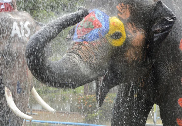 Asia Thaiföld Ayutthaya Songkran Fesztivál — Stock Fotó