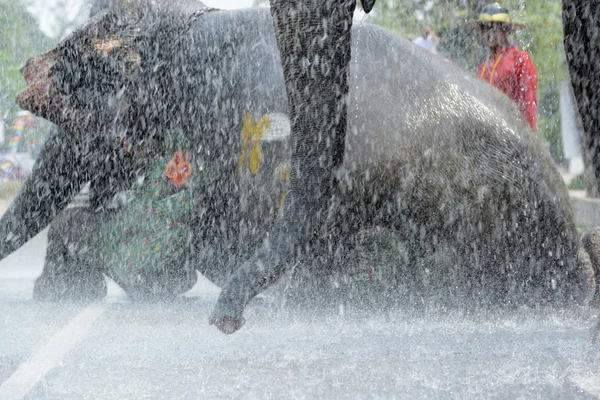 Asia Tajlandia Ayutthaya Songkran Festival — Zdjęcie stockowe