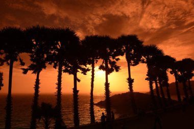 Asya Tayland Phuket Rawai 