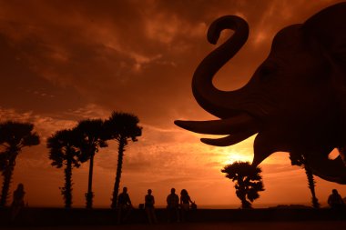 Asya Tayland Phuket Rawai 