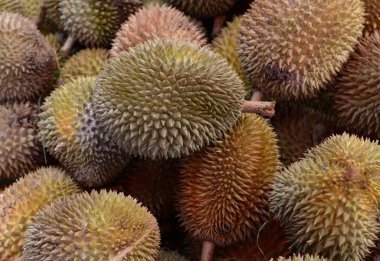 Asya Tayland Phuket Markt 