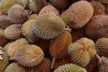 Asya Tayland Phuket Markt 