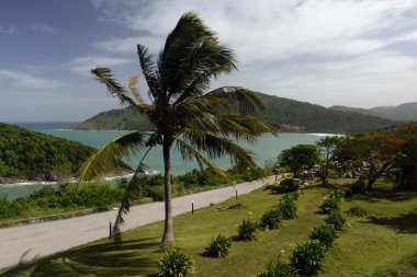 Asya Tayland Phuket Rawai 