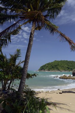 Asya Tayland Phuket Rawai 