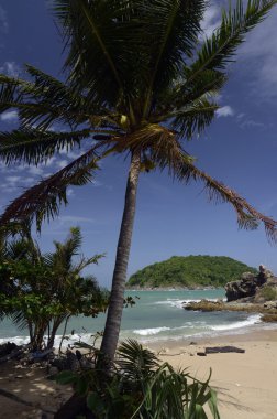 Asya Tayland Phuket Rawai 
