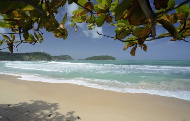 Asya Tayland Phuket Rawai 