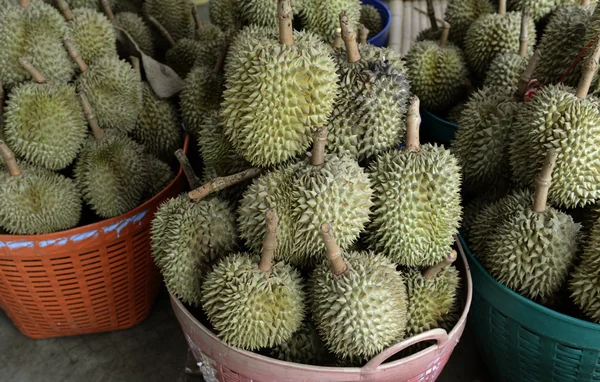 MERCADO DO FUCADO DA TAILÂNDIA DA ÁSIA — Fotografia de Stock