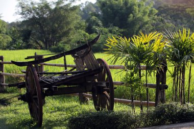 Asya Tayland Chiang Mai Chiang Dao azınlık