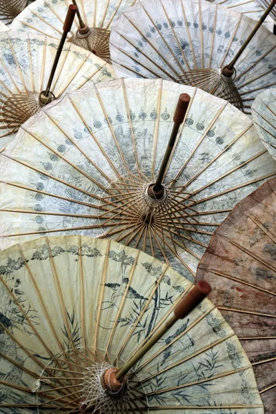 ASIA TAILANDIA CHIANG UMBRELLA — Foto de Stock