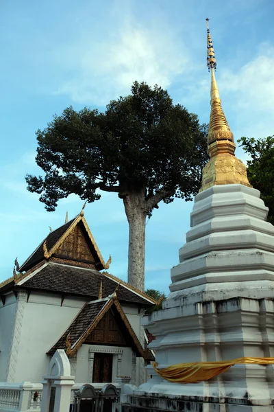 ASIA TAILANDIA CHIANG MAI WAT CHEDI LUANG — Foto de Stock